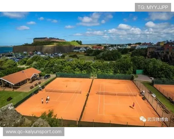 红土场上网球选手击球旋转量对制胜分分布的影响规律（490 ）